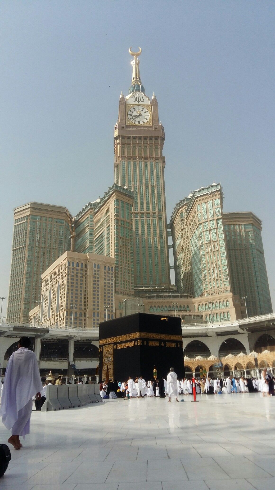 Haram pigeons